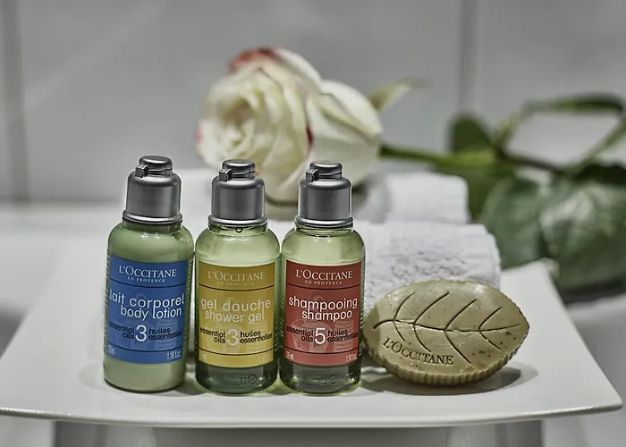 Hotel Saint-paul Rive-gauche 4*