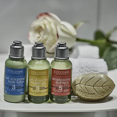 Hotel Saint-paul Rive-gauche 4*